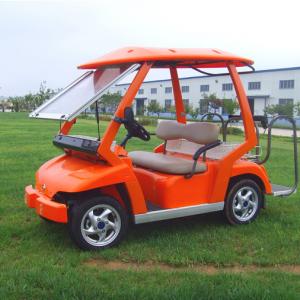 2 Seater Golf Cart 1